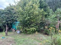 Działka rod Radom, ul. Wincentego Witosa. Zdjęcie 2