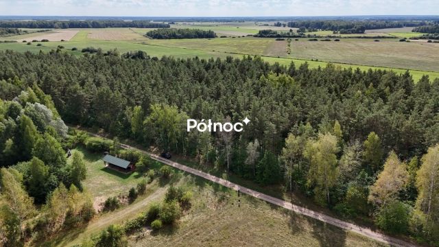 Działka leśna Pieńczykowo. Zdjęcie 3