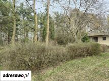 Działka budowlana Krzywiec. Zdjęcie 3