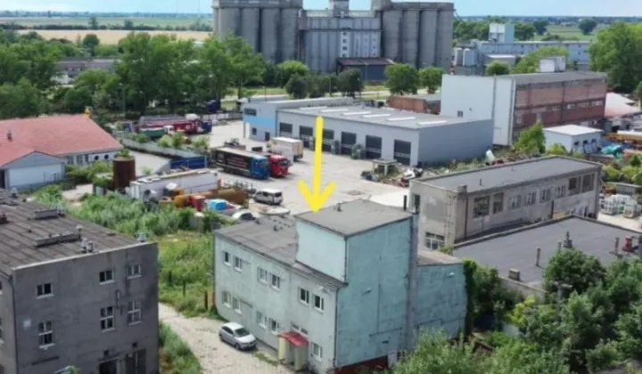 kamienica Kruszwica, ul. Niepodległości