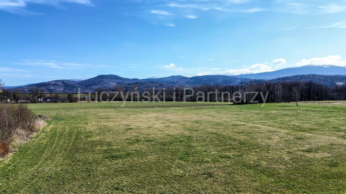 Działka siedliskowa Podgórzyn. Zdjęcie 3