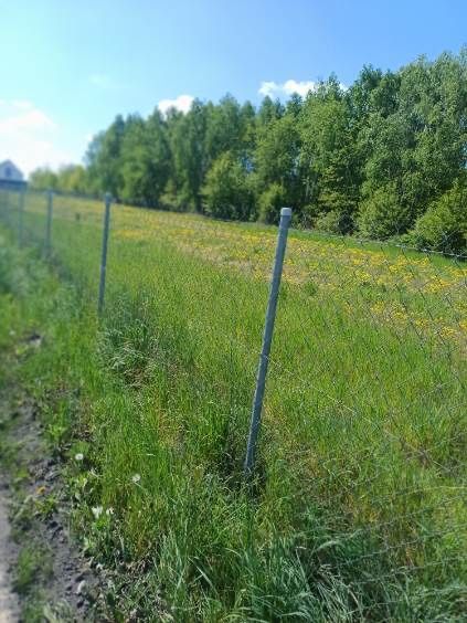 Działka budowlana Wola Łaska. Zdjęcie 2