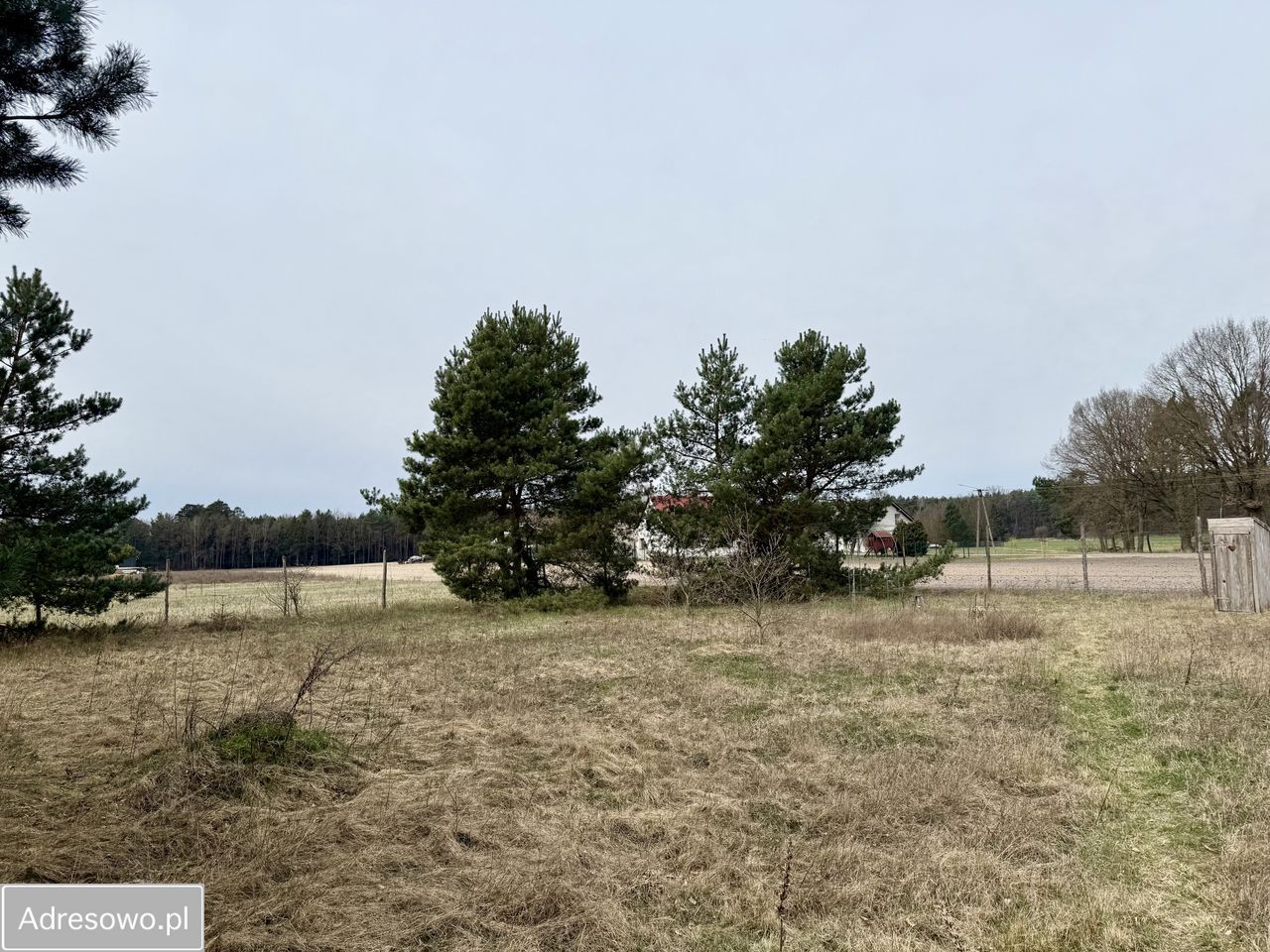Działka budowlana Lipa. Zdjęcie 4