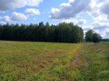 Działka Bogaczów Krzewiny. Zdjęcie 1