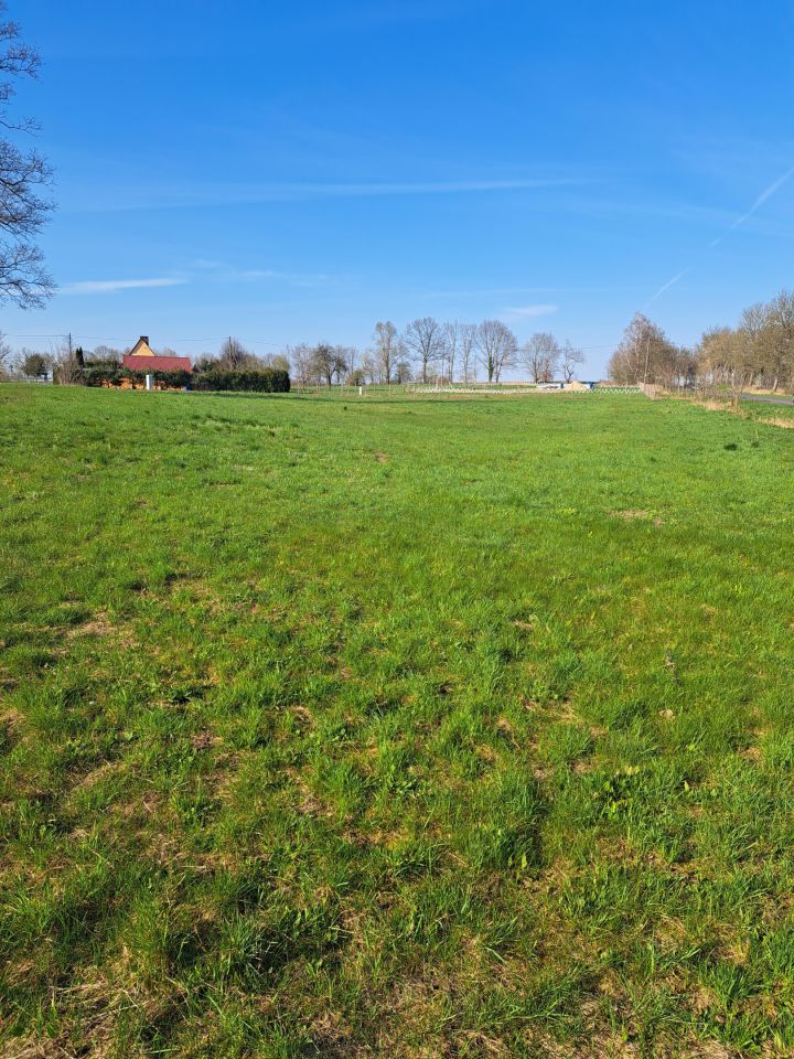 Działka rolno-budowlana Kicko. Zdjęcie 7