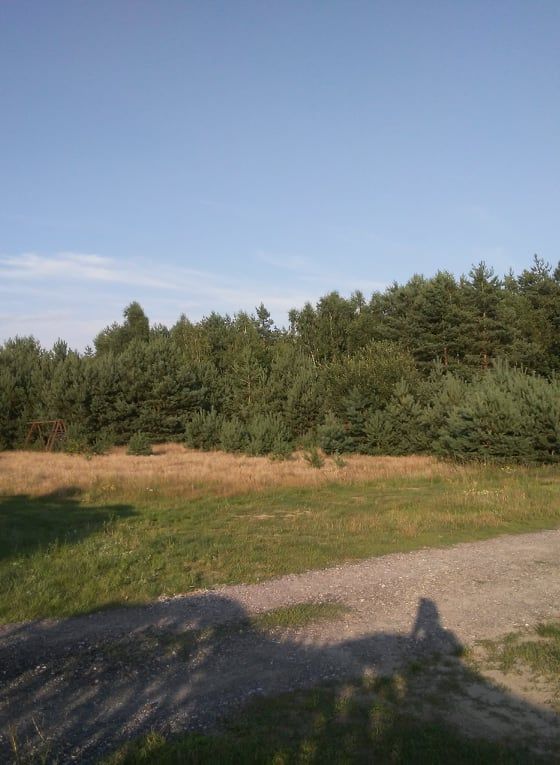 Działka budowlana Pieńki-Strzyże, ul. Sosnowa. Zdjęcie 6