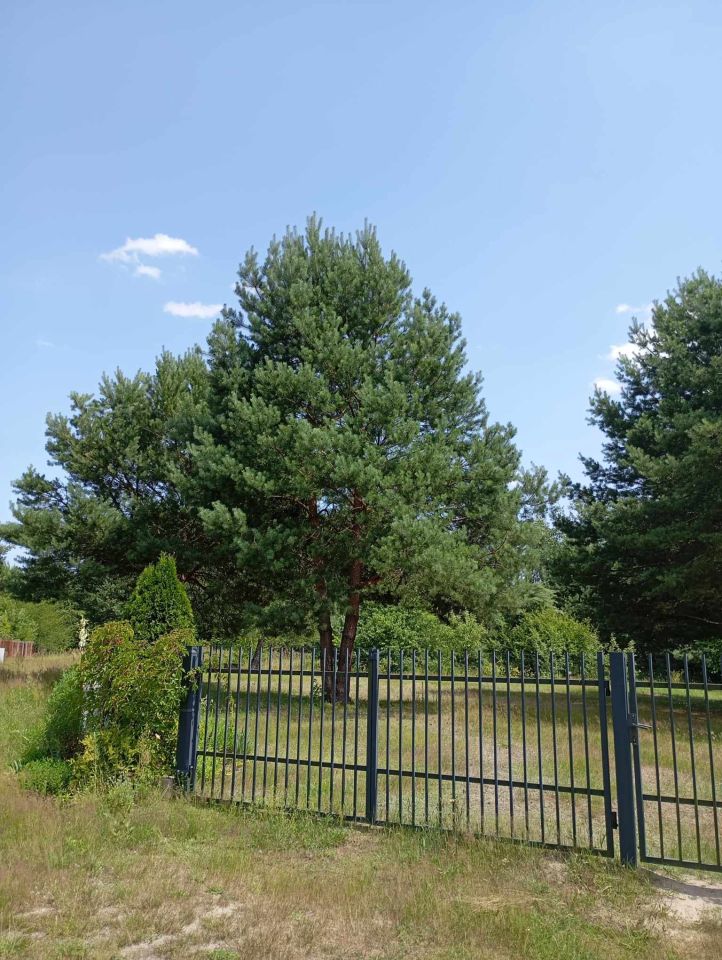 Działka rekreacyjna Okuninka. Zdjęcie 5