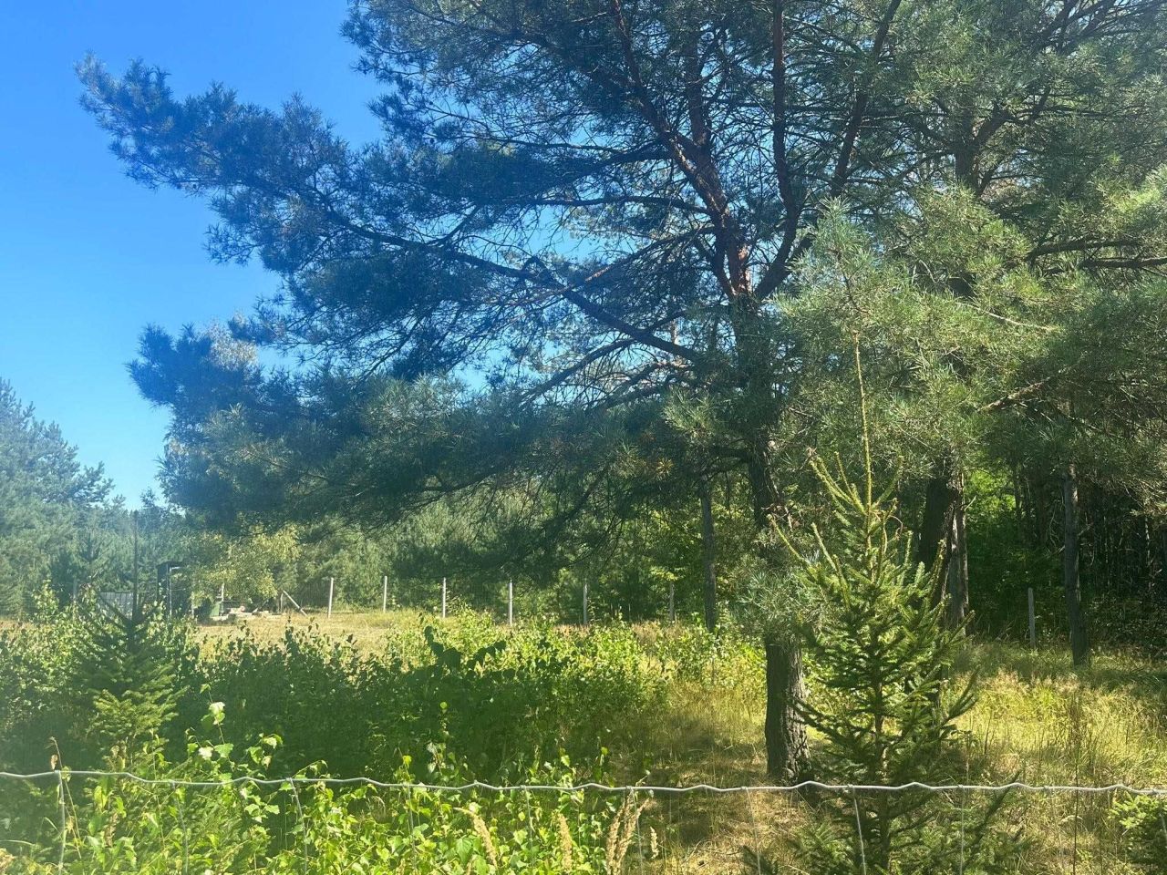 Działka budowlana Turze. Zdjęcie 6