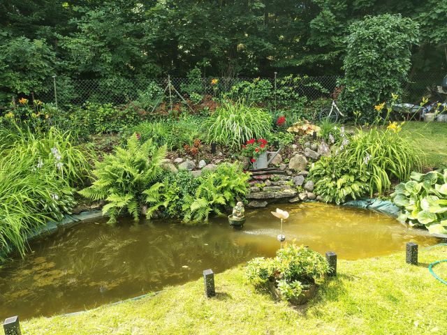 Działka rod Juszkowo, ul. Dobra. Zdjęcie 1