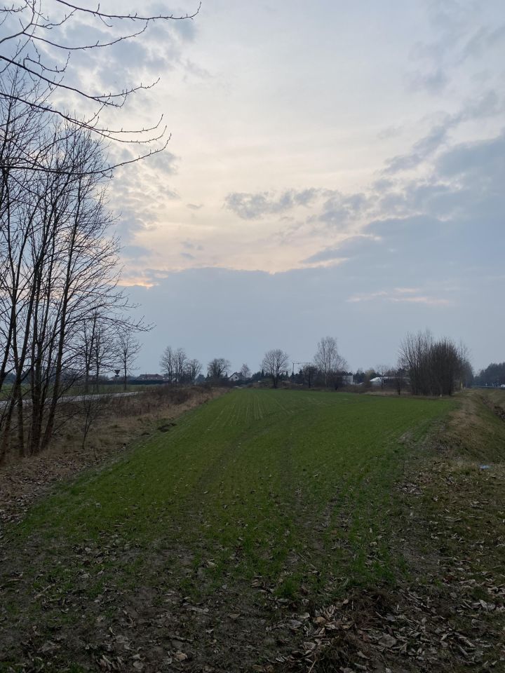 Działka inwestycyjna Chrząstowice, ul. Ozimska. Zdjęcie 2