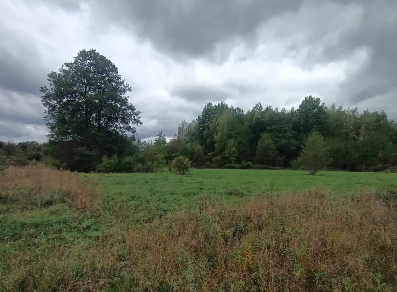 dom wolnostojący, 5 pokoi Budy Michałowskie. Zdjęcie 2