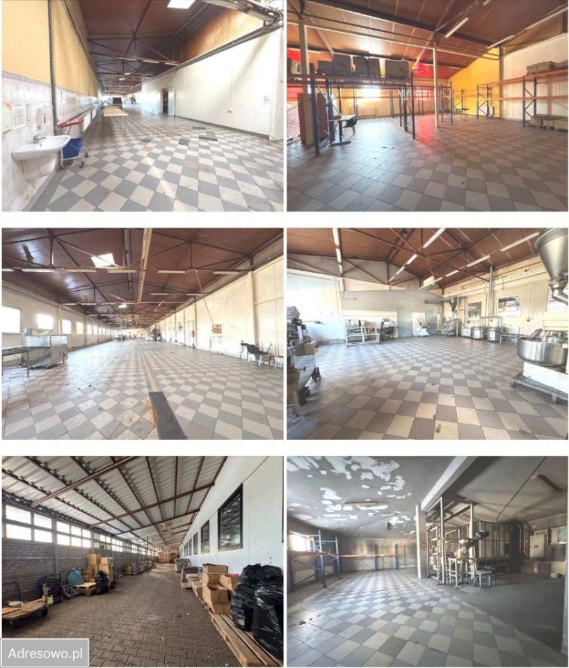 Hala/magazyn Zduńska Wola. Zdjęcie 11