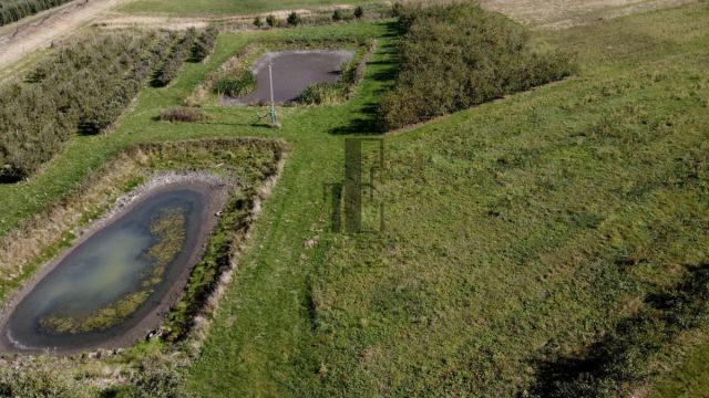 Działka rolna Boglewice. Zdjęcie 2