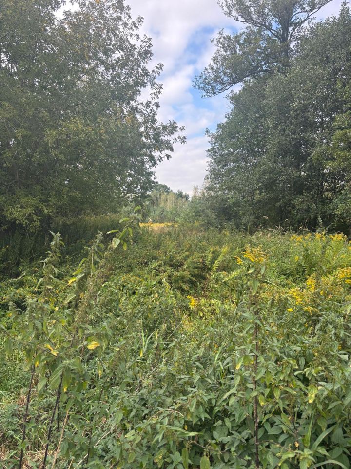 Działka budowlana Secymin Polski. Zdjęcie 4