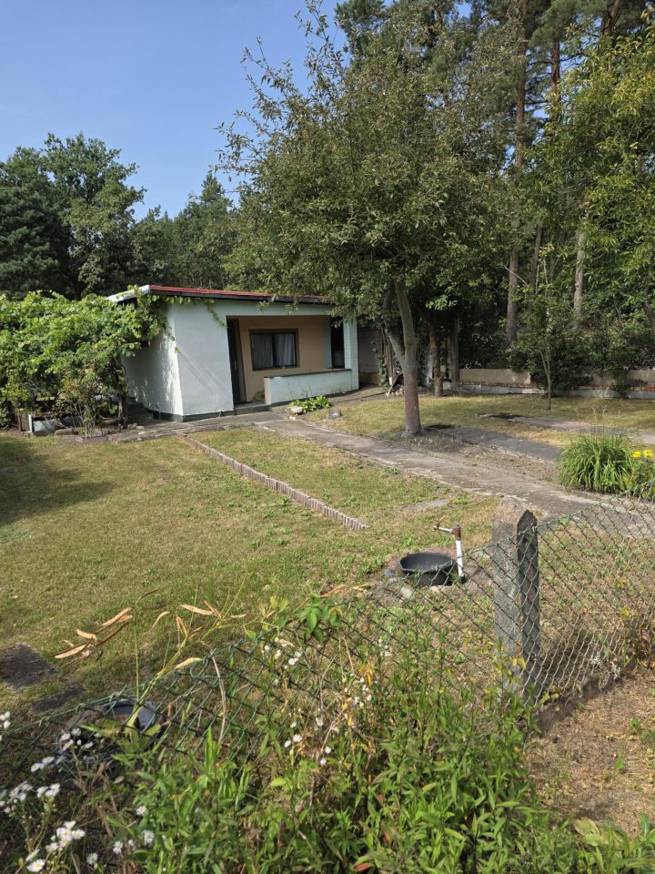 Działka rod Bartoszewo. Zdjęcie 7