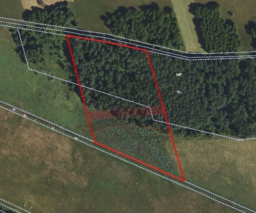 Działka rolna Grodziec. Zdjęcie 2