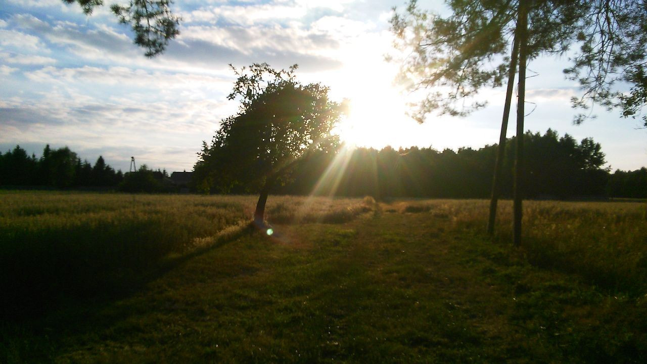 Działka budowlana Hipolitów Zalesie. Zdjęcie 4
