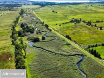 Działka rolna Dębki. Zdjęcie 3