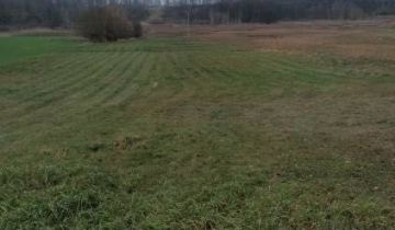 Działka siedliskowa Burowo