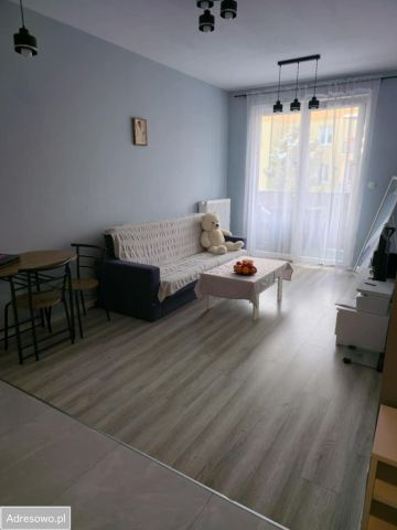 Mieszkanie 2-pokojowe Nowy Dwór Mazowiecki, ul. Młodzieżowa. Zdjęcie 1