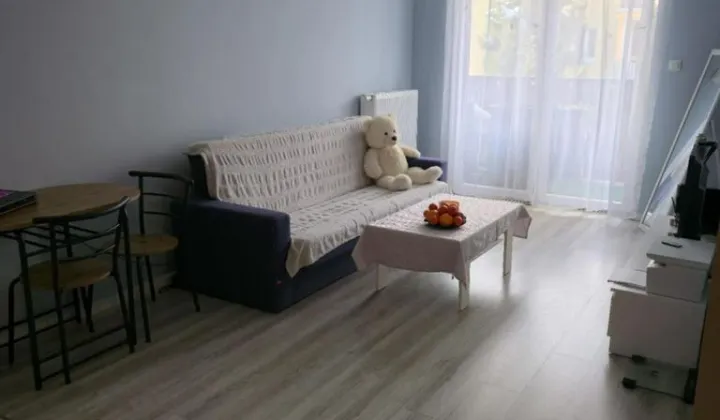 Mieszkanie 2-pokojowe Nowy Dwór Mazowiecki, ul. Młodzieżowa