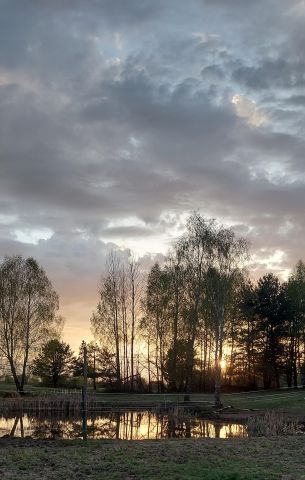 Działka siedliskowa Różnowo, Różnowo. Zdjęcie 1