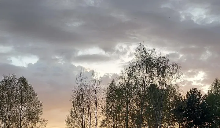 Działka siedliskowa Różnowo, Różnowo