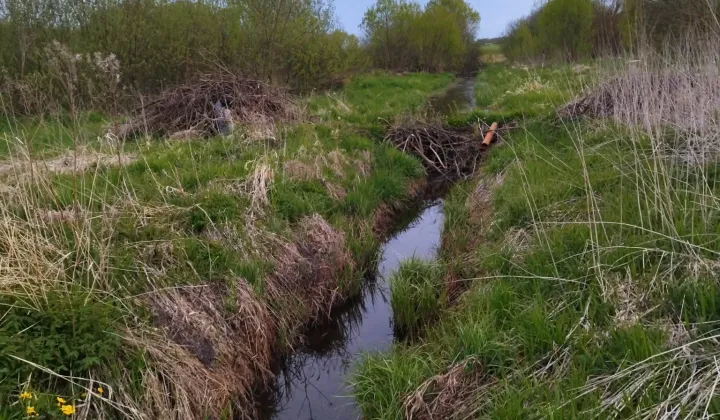 Działka budowlana Lesiska