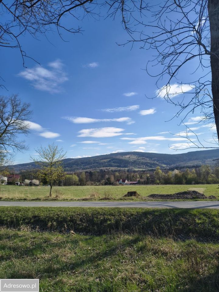 Działka budowlana Starkówek. Zdjęcie 12