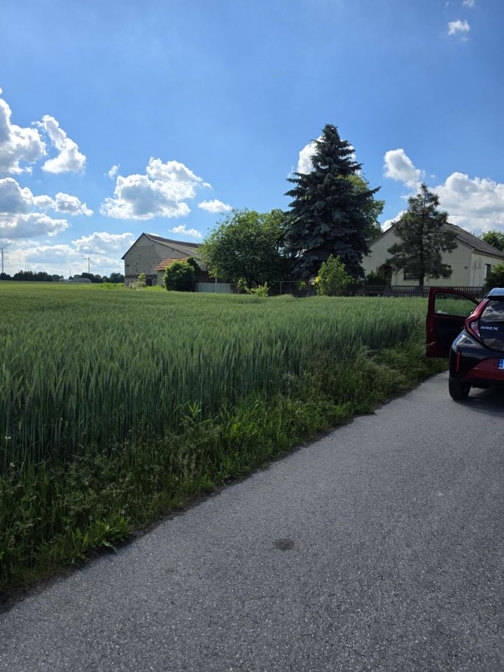 Działka rolno-budowlana Łowinia. Zdjęcie 4