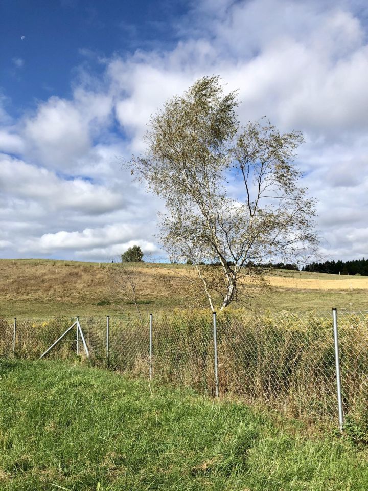 Działka budowlana Mrągowo Leśna Droga, ul. Leśna Droga. Zdjęcie 2