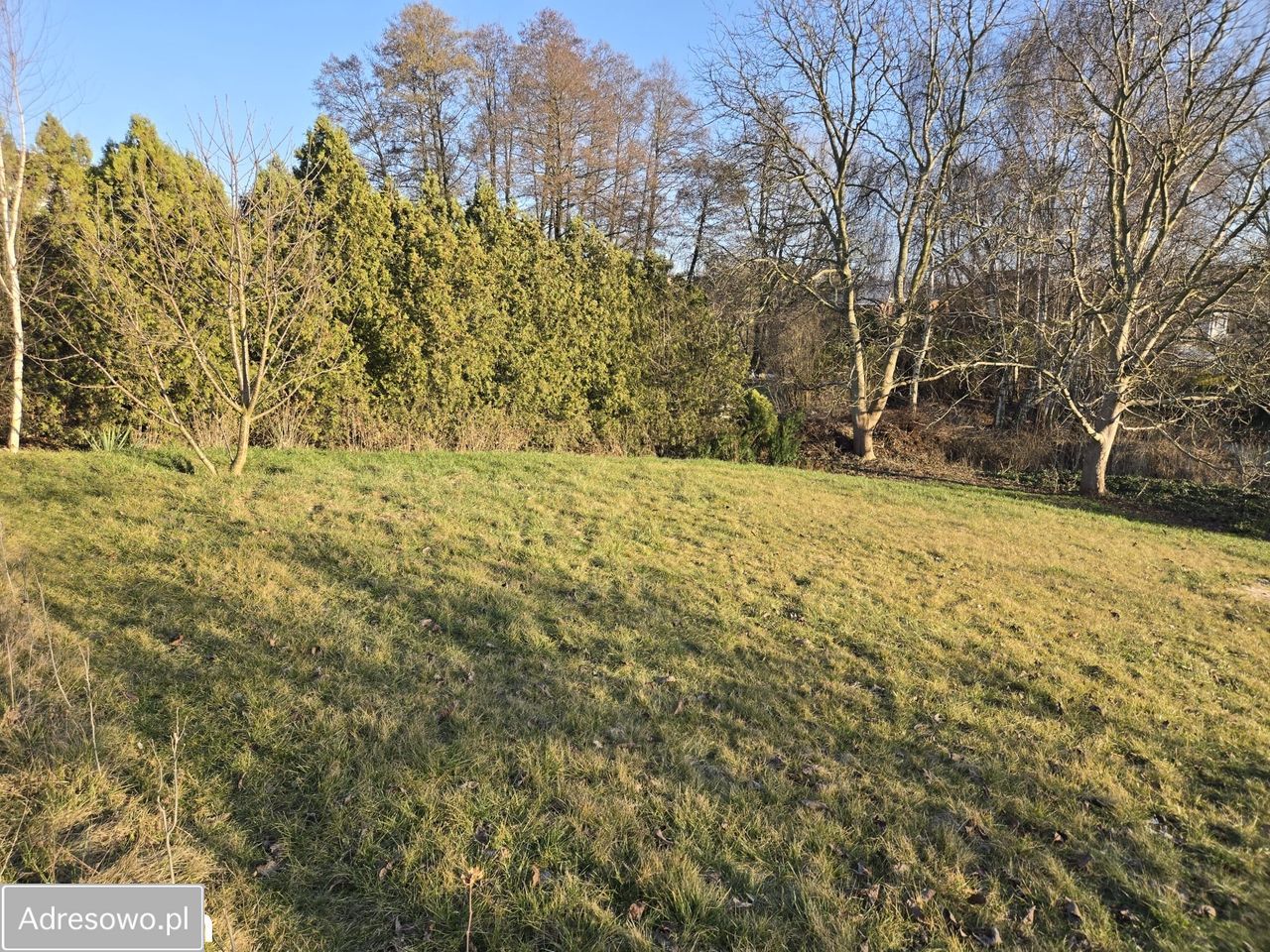 Działka budowlana Kalisz, ul. Korczak. Zdjęcie 8