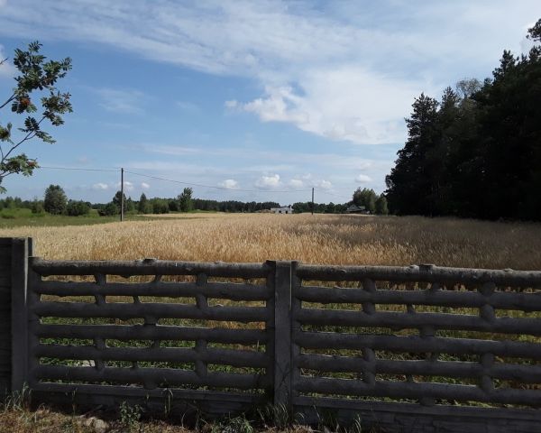 Działka budowlana Górzno, ul. Adama Mickiewicza. Zdjęcie 5