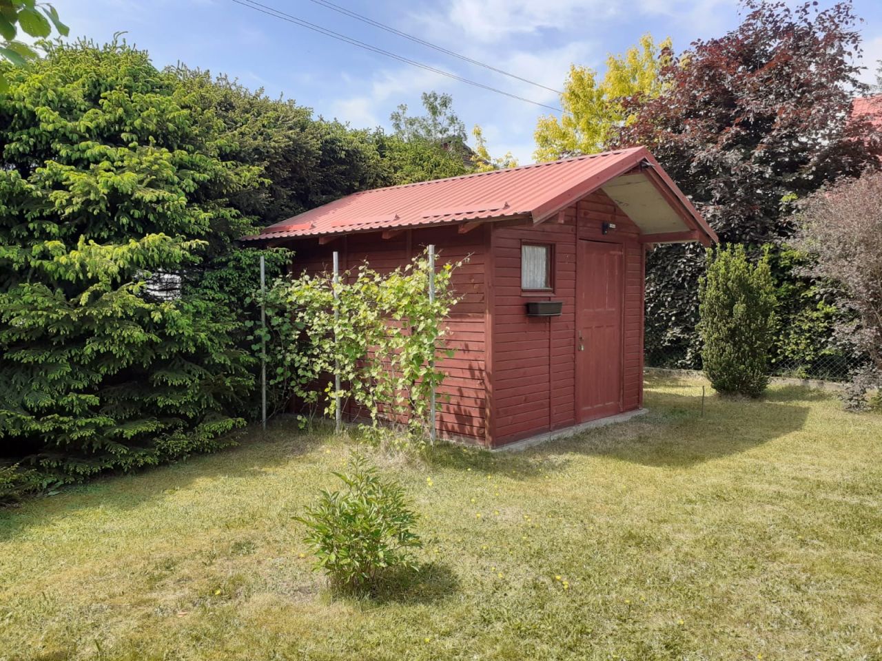 dom wolnostojący, 5 pokoi Tleń. Zdjęcie 4