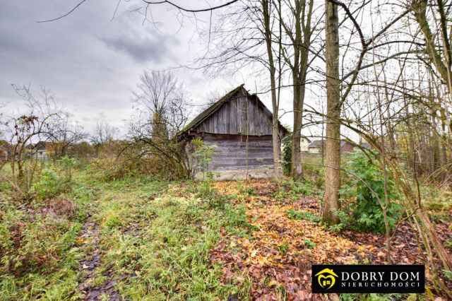 siedlisko, 3 pokoje Knorydy. Zdjęcie 17