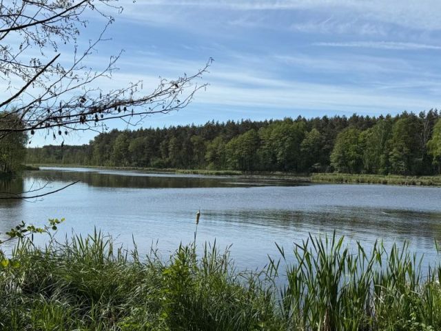 dom wolnostojący, 4 pokoje Gaśno. Zdjęcie 20