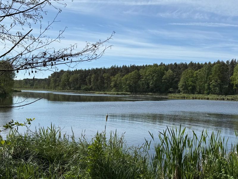 dom wolnostojący, 4 pokoje Gaśno. Zdjęcie 20