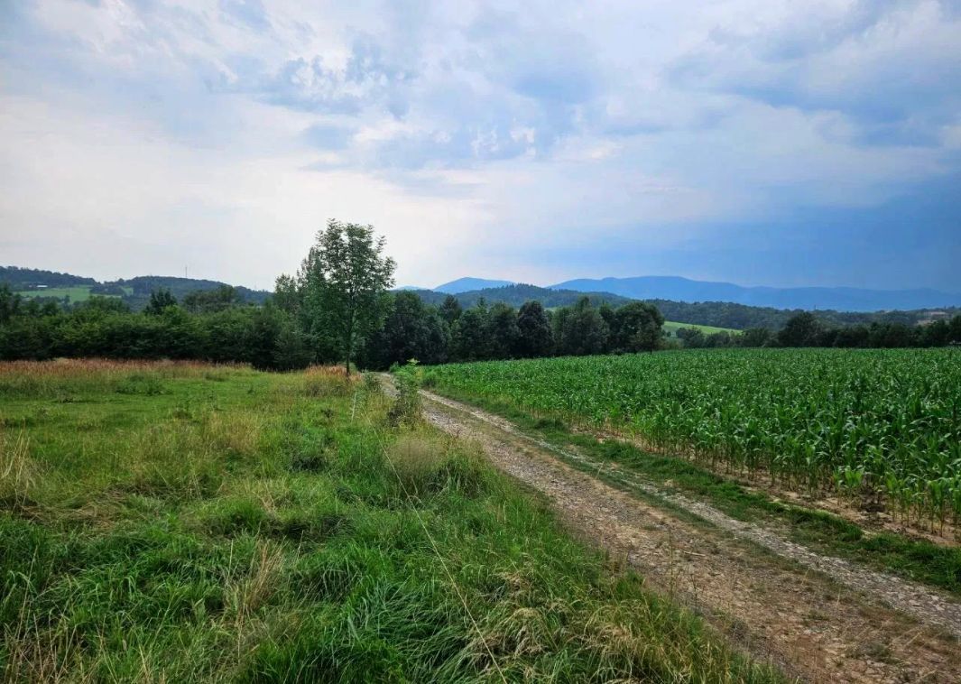 Działka rolna Puńców. Zdjęcie 7