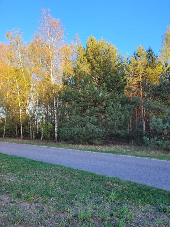 Działka rolna Wólka-Przekory. Zdjęcie 7