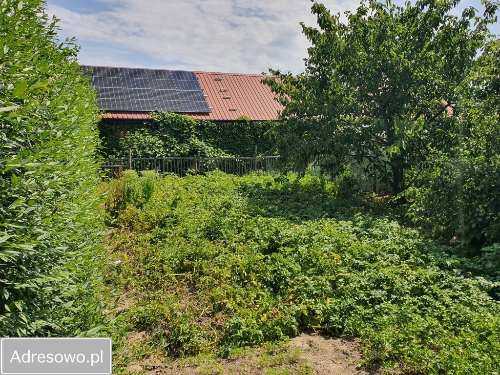 dom wolnostojący, 5 pokoi Węgrzynowo. Zdjęcie 12
