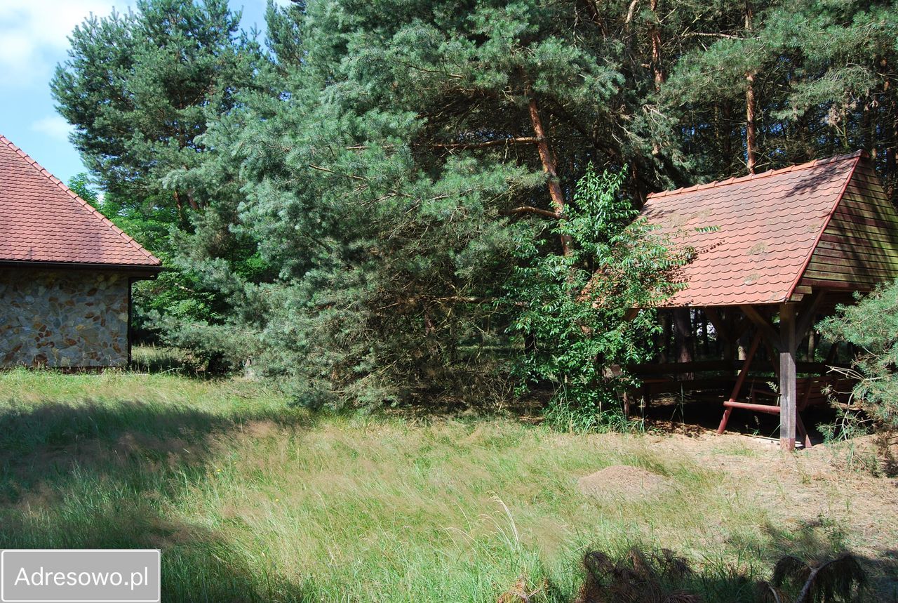 dom wolnostojący, 4 pokoje Wielgie Milickie. Zdjęcie 18