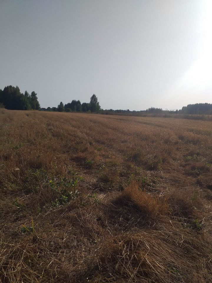 Działka rolno-budowlana Terebela. Zdjęcie 2