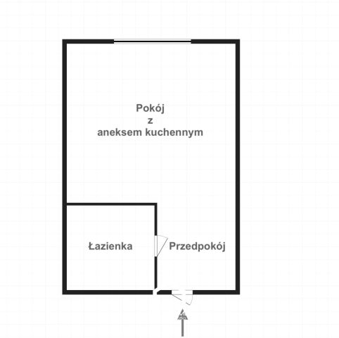 Mieszkanie 1-pokojowe Warszawa Śródmieście, ul. Mokotowska. Zdjęcie 9