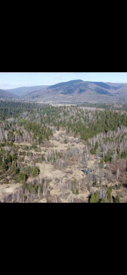 Działka budowlana Strzebowiska. Zdjęcie 7