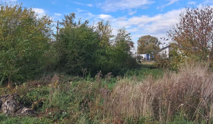 Działka rolna Pyrzyce, ul. Spokojna