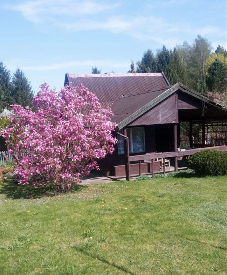 Działka rod Wadąg. Zdjęcie 1