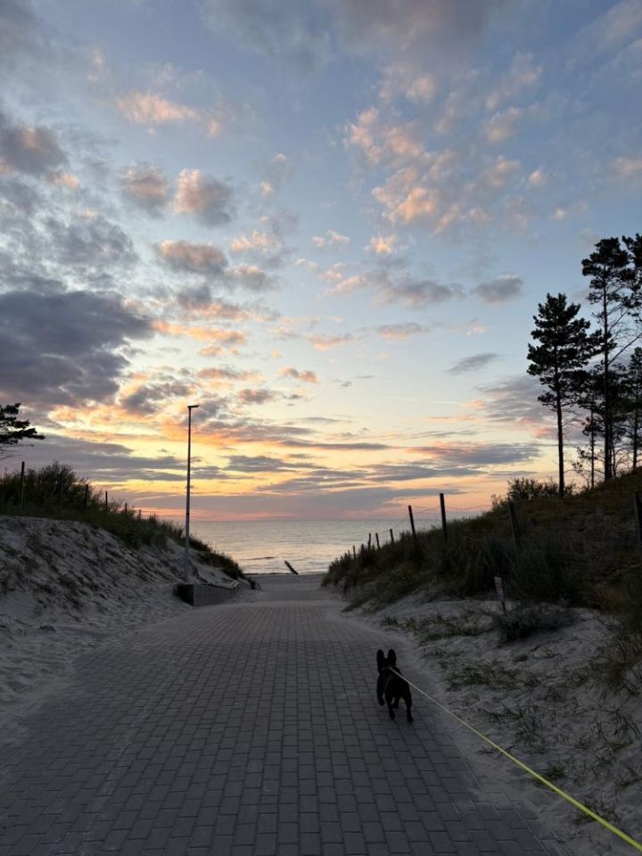 Działka rod Mrzeżyno. Zdjęcie 2