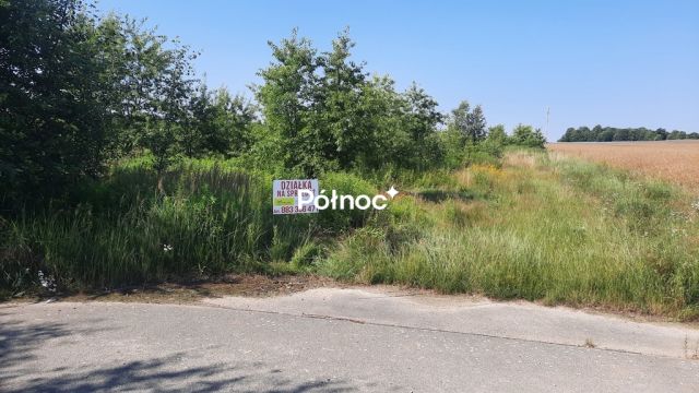 Działka rolna Przesieczany. Zdjęcie 2