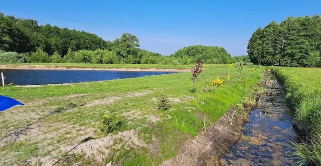 Działka budowlana Trzebiegoszcz. Zdjęcie 7