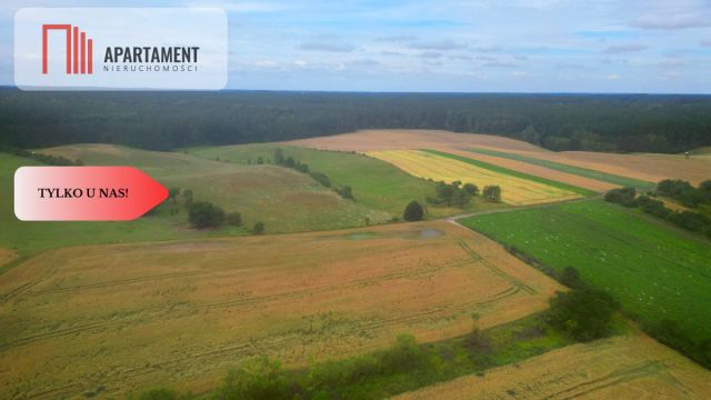 Działka siedliskowa Opalenie. Zdjęcie 3